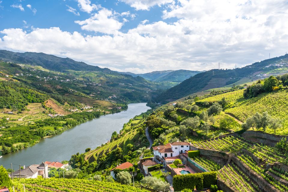 From Porto: Full-Day Douro Historical Tour