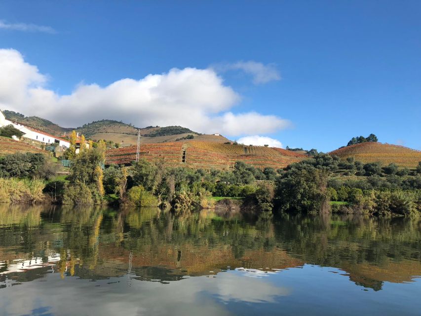 From Porto: Private Douro Valley Tour and Boat Cruise - Tour Details