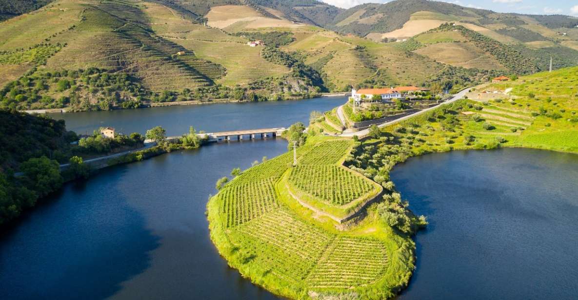 From Porto: Private Douro Valley Tour With Booking Service