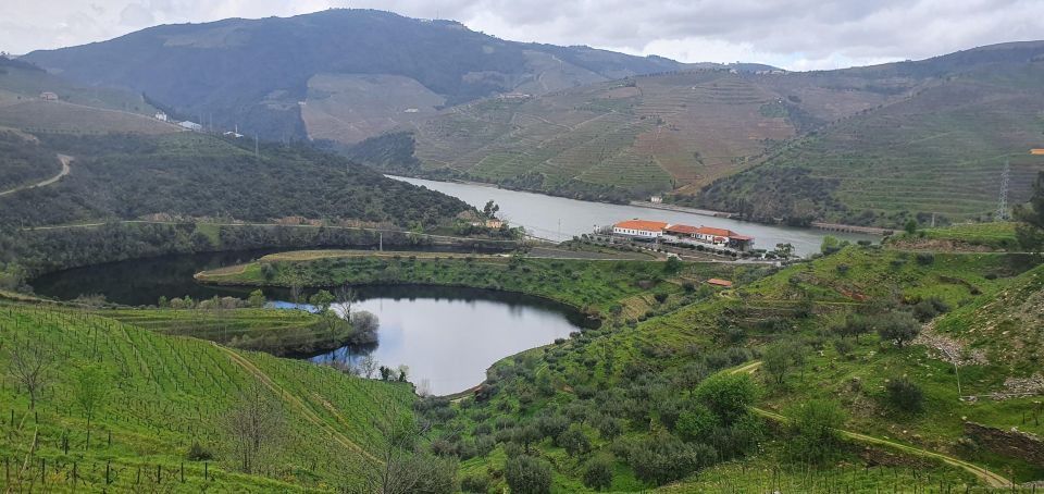 From Porto Private Wine Tour Tasting, Train and Vinho Verde