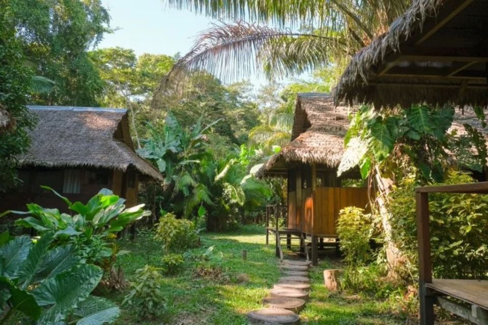 From Puerto Maldonado: Sandoval Lake + Macaw Clay Lick 4-Day - Overview of the Excursion