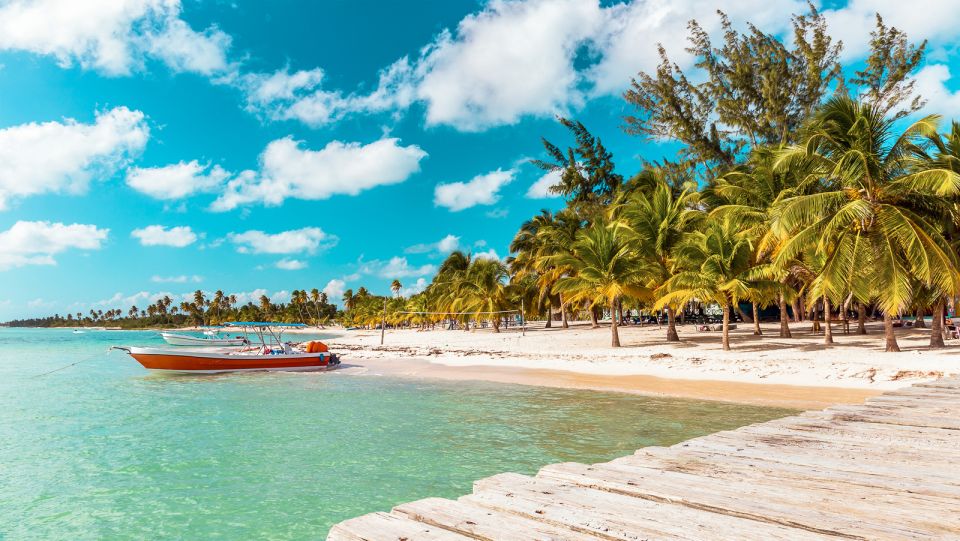 From Punta Cana: Full-Day Saona Island Excursion - Tour Overview