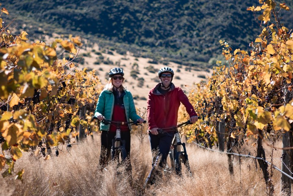 From Queenstown: Self-Guided Wineries Bike Tour