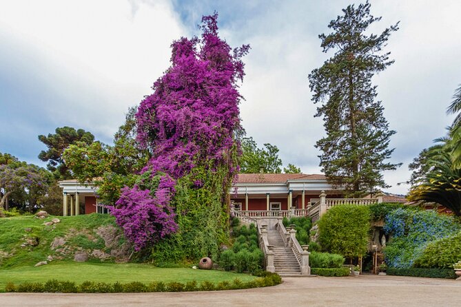 From Santiago: Viña Santa Rita Classic - Overview of the Tour