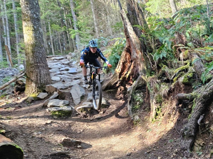 From Seattle: Full Day All-Inclusive Mountain Bike Tour - Tour Overview