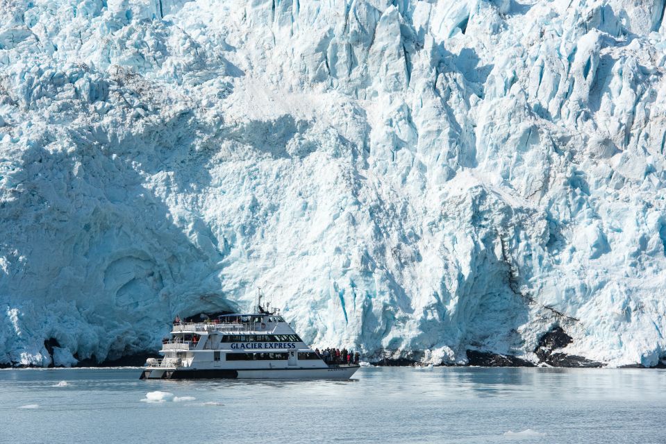 From Seward: Kenai Fjords National Park Cruise With Lunch - Activity Overview