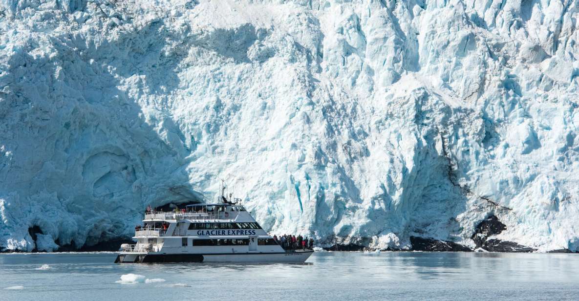 From Seward: Kenai Fjords National Park Cruise With Lunch