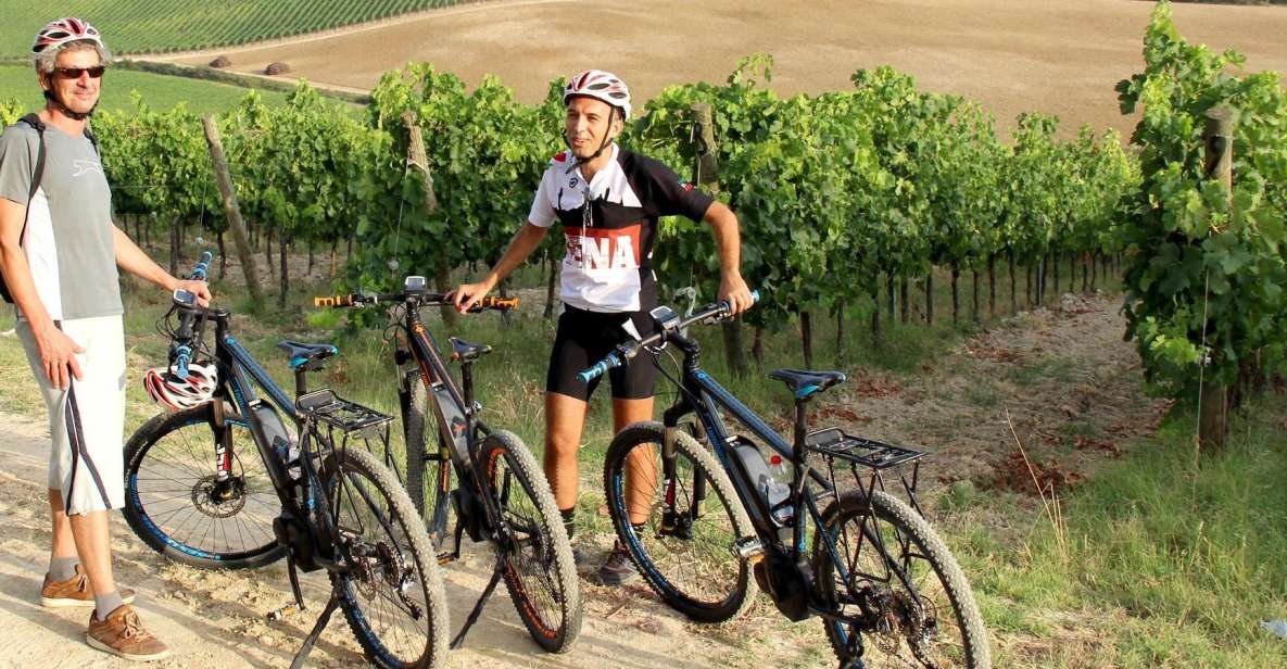 From Siena: Chianti Countryside E-Bike Tour W/ Lunch & Wine