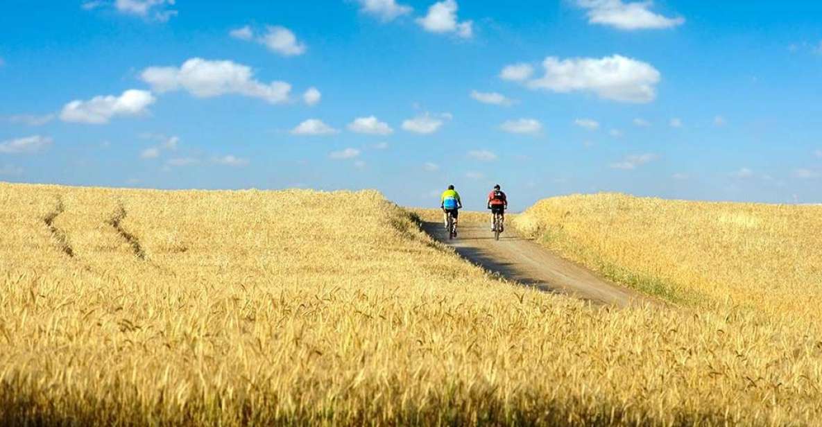 From Siena: Chianti Electric Bike Tour