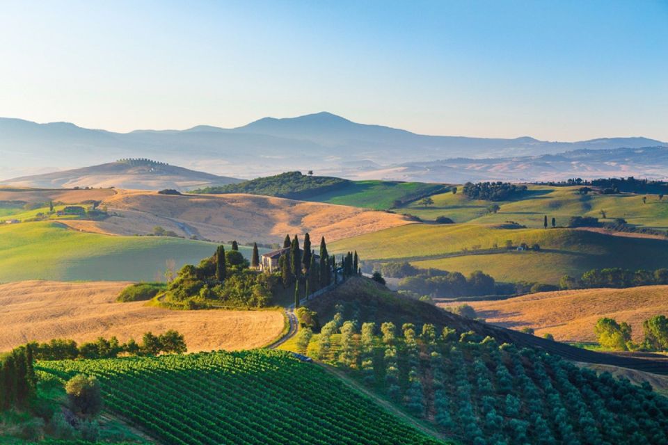 From Siena: Montepulciano & Pienza Wine Tour