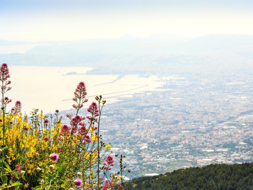 From Sorrento Combo Tour_Pompeii & Vesuvius