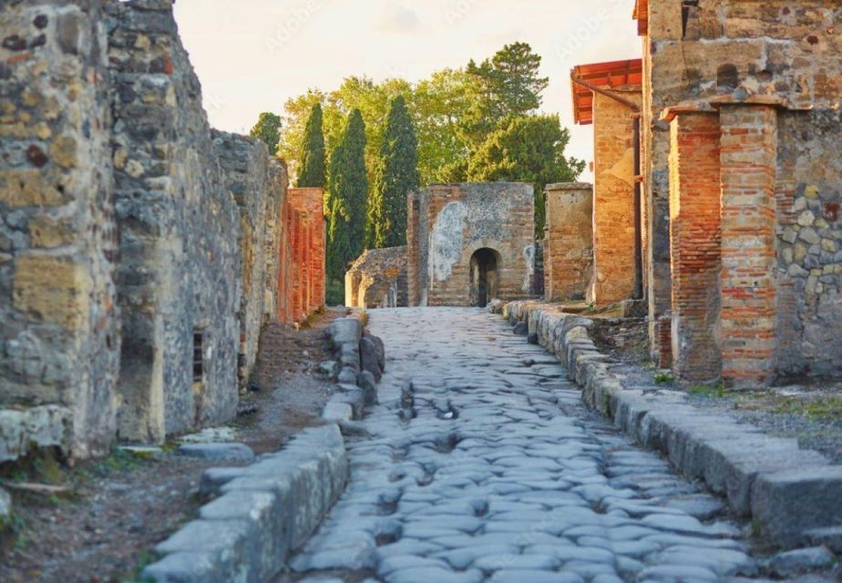 From Sorrento: Pompeii and Wine Tasting Day Trip