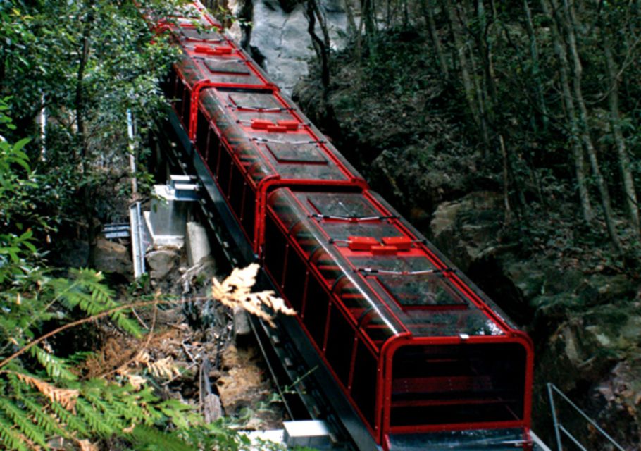 From Sydney: Blue Mountains, Scenic World & Sydney Zoo Tour - Tour Details