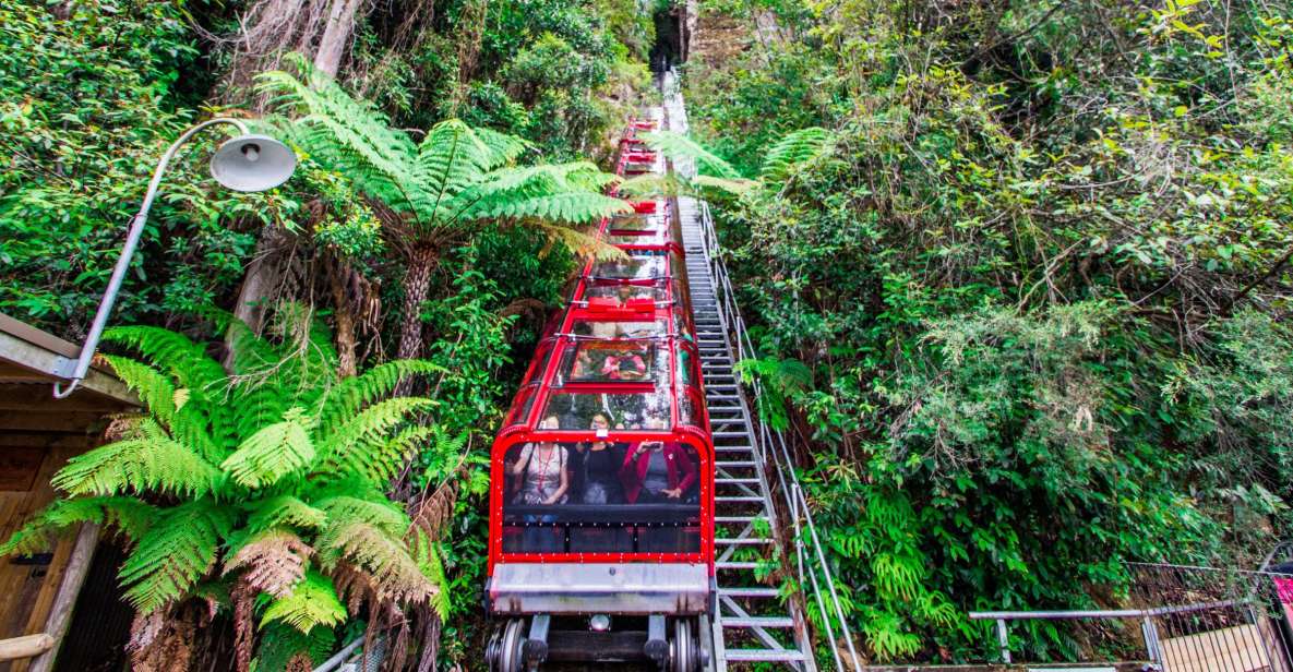 From Sydney: Blue Mountains, Scenic World, Zoo, & Ferry Tour - Tour Details