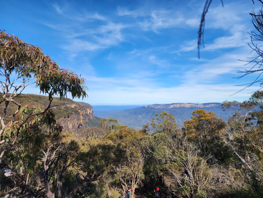 From Sydney: Blue Mountains Tour With Waterfall Walk & Lunch