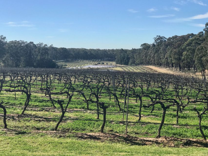 From: Sydney – Hunter Valley Wine Tasting Guided Day Tour
