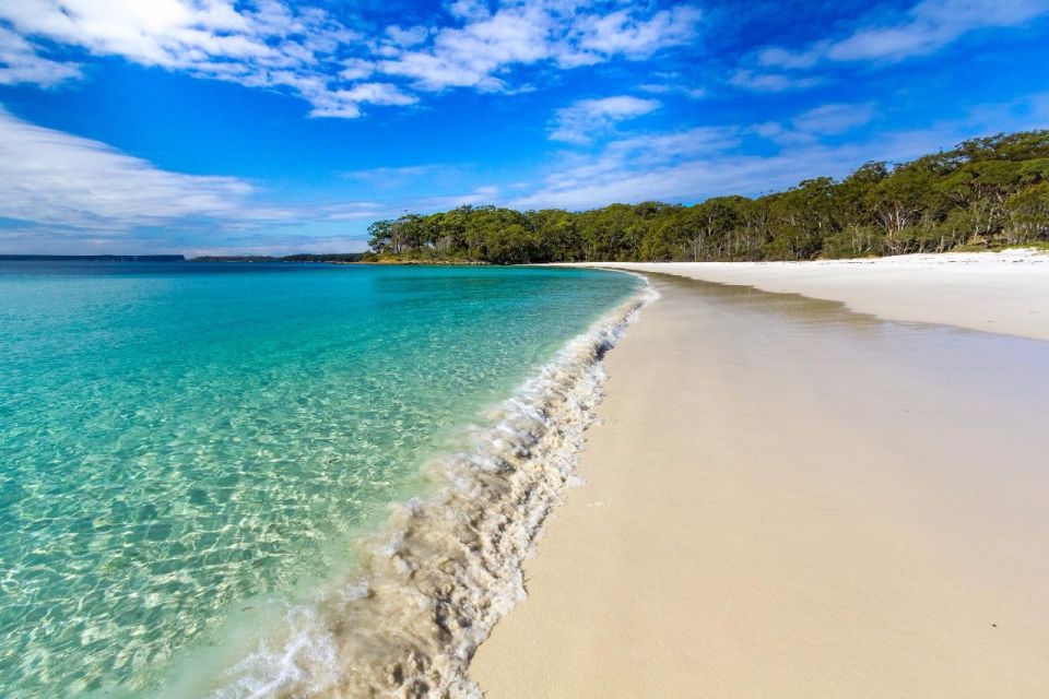 From Sydney: Jervis Bay Dolphin Cruise With BBQ Lunch