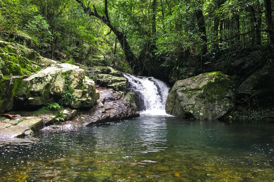 From Sydney| Private Blue Mountains Tour| Waterfalls & Views