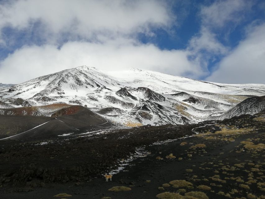 From Taormina or Catania: Private Full-Day Mount Etna Hike