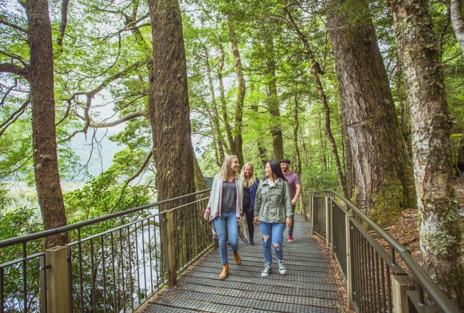 From Te Anau: Milford Sound Coach Tour and Cruise