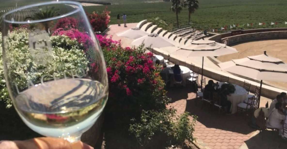 From Tijuana: Valle De Guadalupe Private Winery Tour - Tour Details