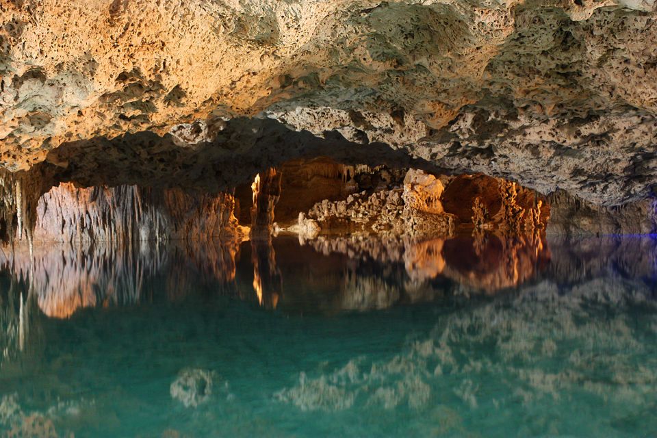 From Tulum: ATV Ride With Monkey Sanctuary and Cenote Trip