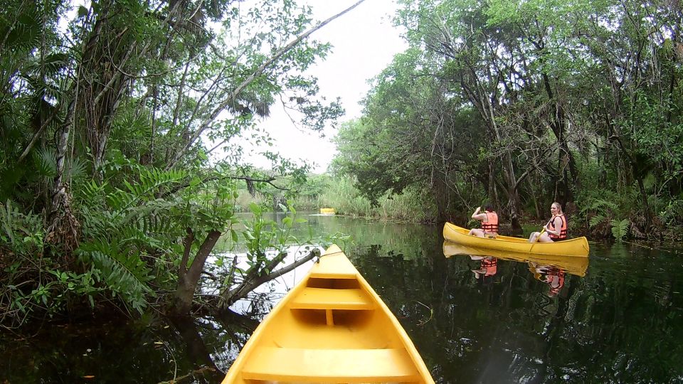 From Tulum: Four-Cenote Adventure