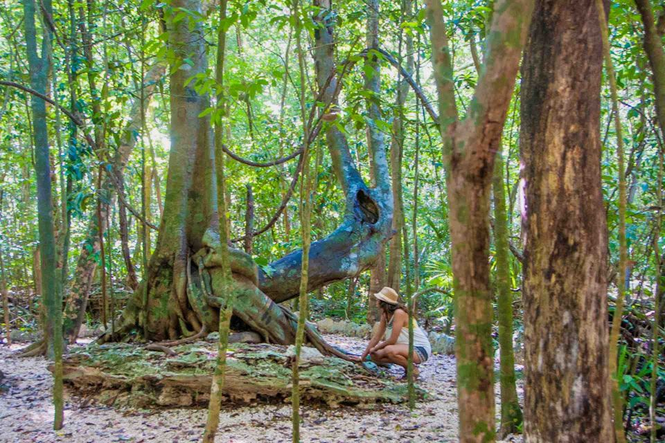 From Tulum: Sian Ka’an Muyil Lagoon Tour