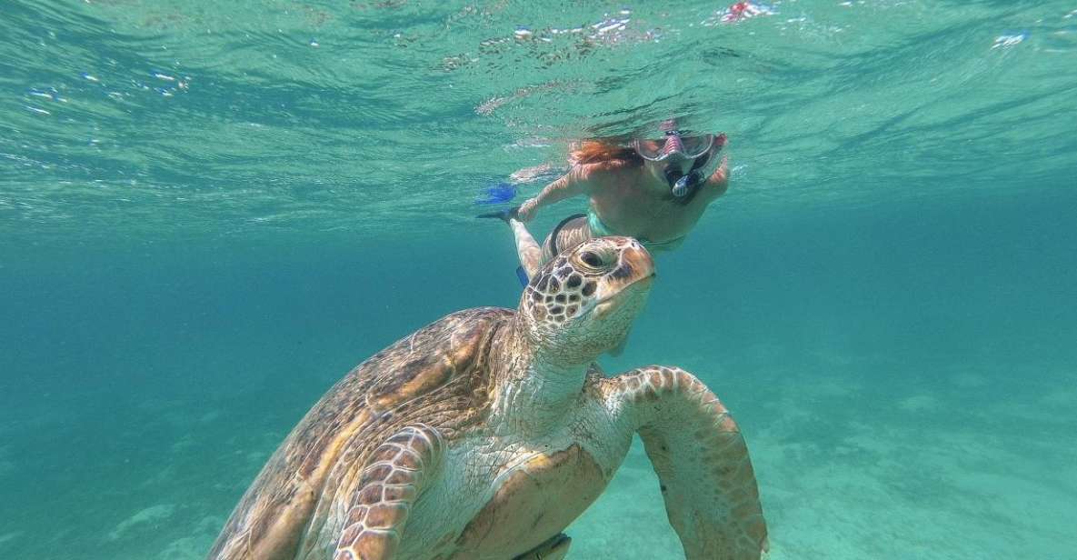 From Tulum: Tulum, Cenote and Turtle Swim Tour at Akumal