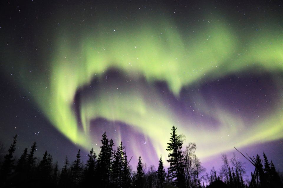 From Yellowknife: Northern Lights Bus Tour With Photos - Tour Details