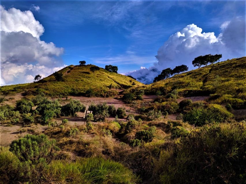 From Yogyakarta: 2 Days 1 Night Mount Merbabu Camping Trip