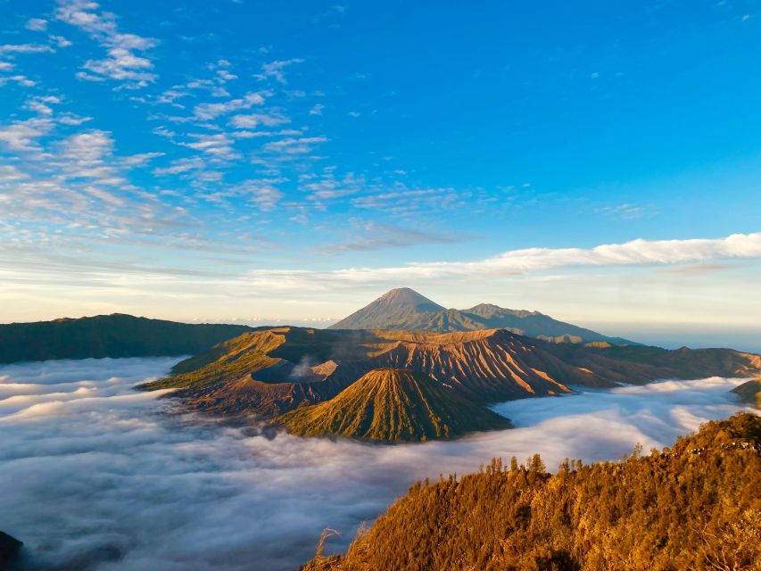 From Yogyakarta : 3-Day Tour to Mount Bromo and Ijen Crater