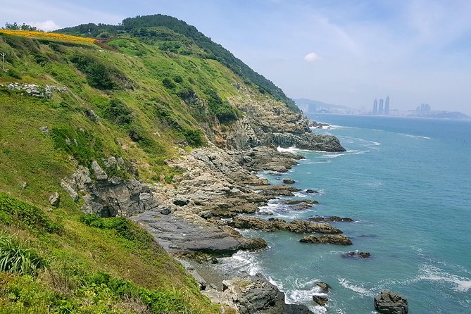 Full-Day Busan Tour Including Haedong Yonggungsa Temple