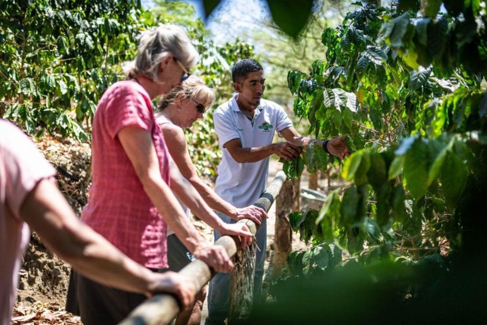 Full Day Cultural Tour in Dominican Republic