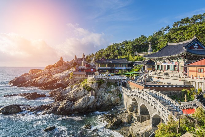 Full-Day Customizable Private Busan Highlight Tour - Tour Highlights