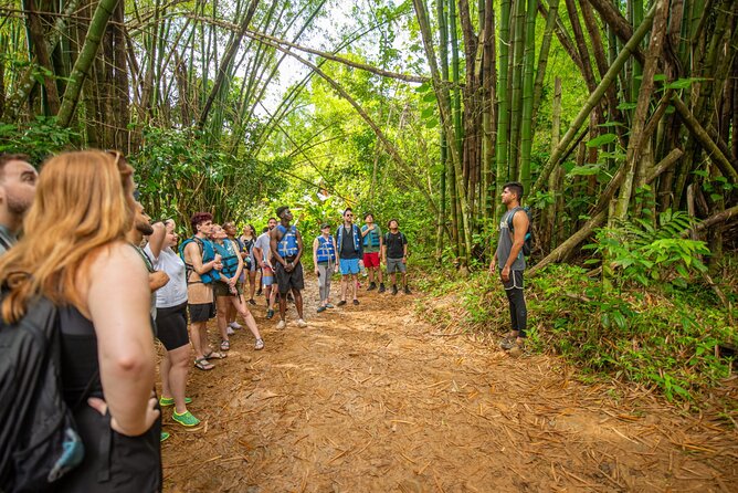 Full-Day El Yunque Rainforest Hike With Waterslide From San Juan - Meeting Point and Pickup