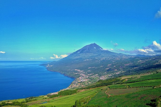 Full-Day Guided Tour in Pico Island