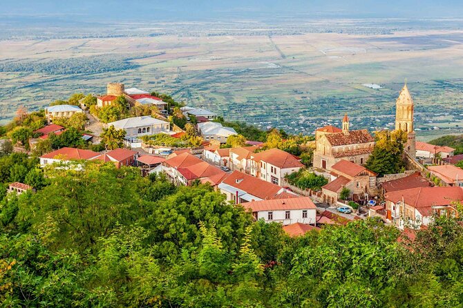 Full-Day Guided Tour to Kakheti - Group - Tour Overview