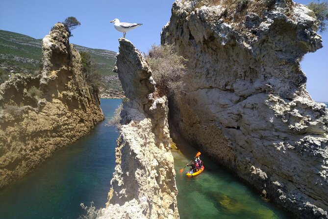 Full Day Kayak&Coasteering Adventure - Sea Caves and Cliff Jumping