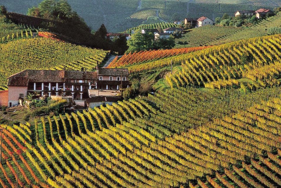 Full-Day Langhe Region Tour With Wine Tasting Experience