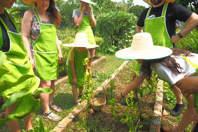 Full Day Thai Cooking at Farm (Chiang Mai)