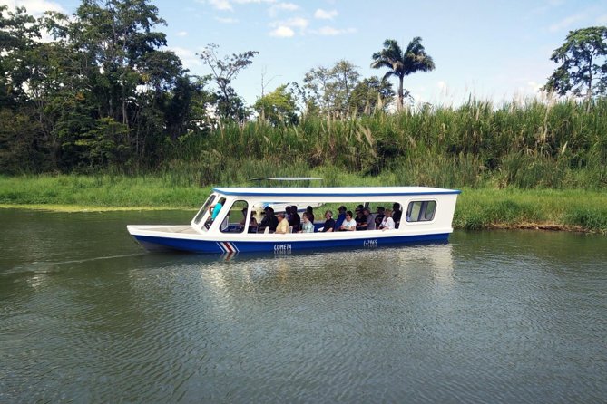 Full-Day Tour to Cahuita National Park From Puerto Limon