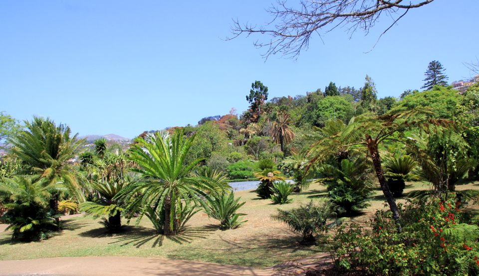 Funchal: Botanical Garden in a Tuk-Tuk Tour