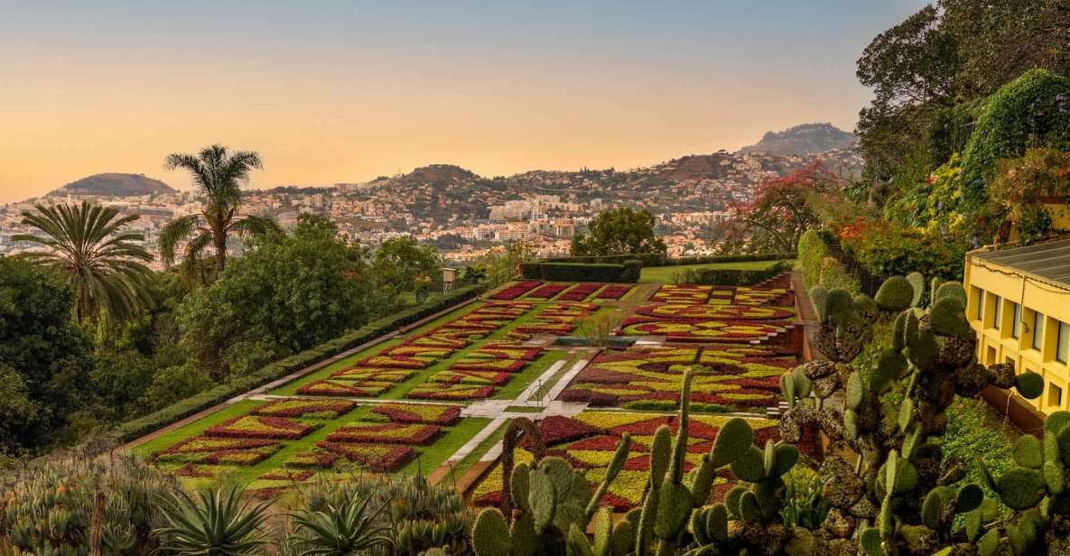 Funchal: Guided Tuk Tuk Tour and Botanical Gardens