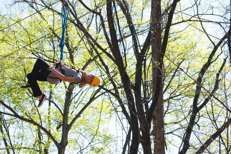 Gatlinburg: Zipline Canopy Tour