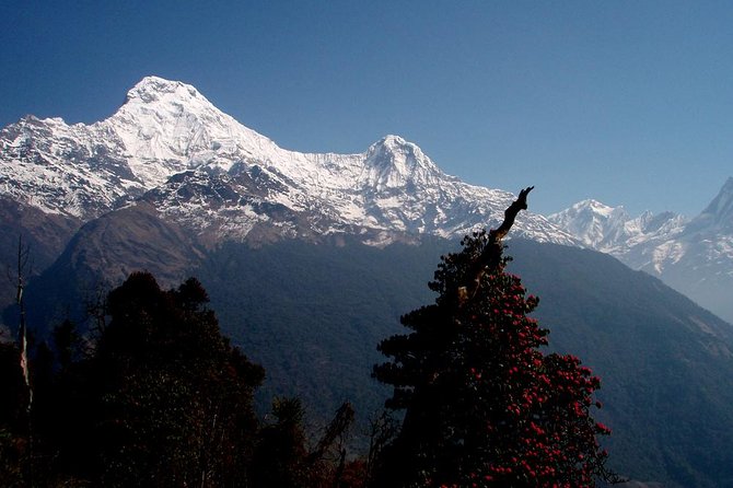 Ghorepani Poon Hill Trek