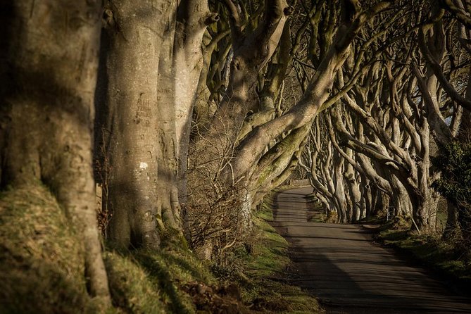 Giants Causeway and More Including Titanic Experience Ticket Tour From Belfast