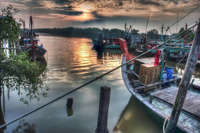 Glowing Kuala Selangor Firefly Tour