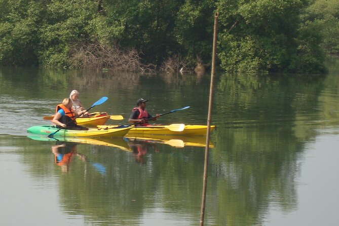 Goa Kayaking Spikes Salonia Backwaters Kayaking Experience