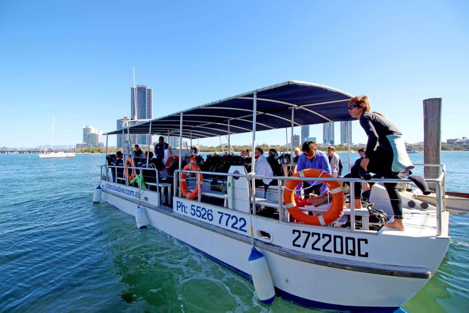 Gold Coast: Snorkelling in Wave Break Island